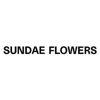 Sundae Flowers